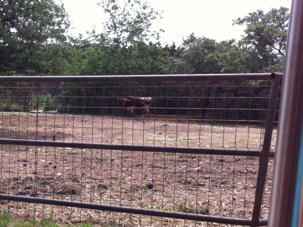 2012-04-09-23-Austin Zoo with Ian.jpg